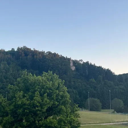 Waldblick Gaestezimmer Зонненбюль